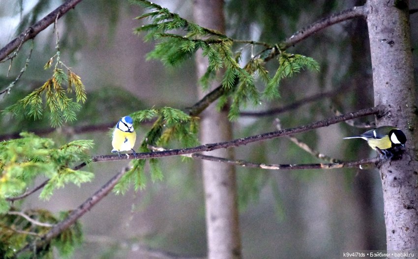 В последний день осени 2025 года (фото 3)