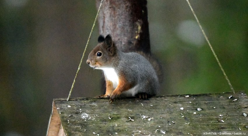 В последний день осени 2025 года (фото 10)
