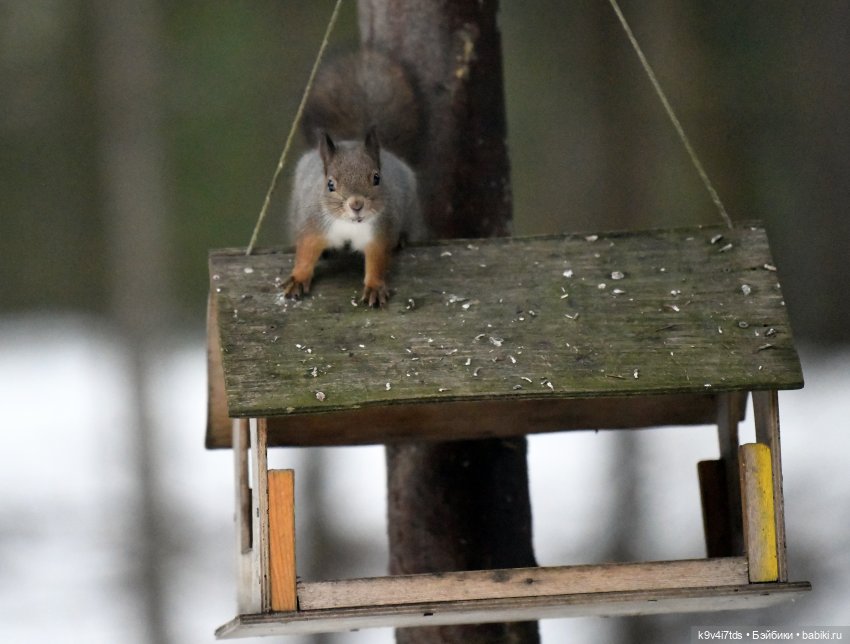 В последний день осени 2025 года (фото 8)