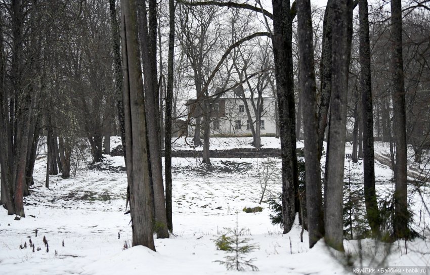 В последний день осени 2025 года (фото 2)