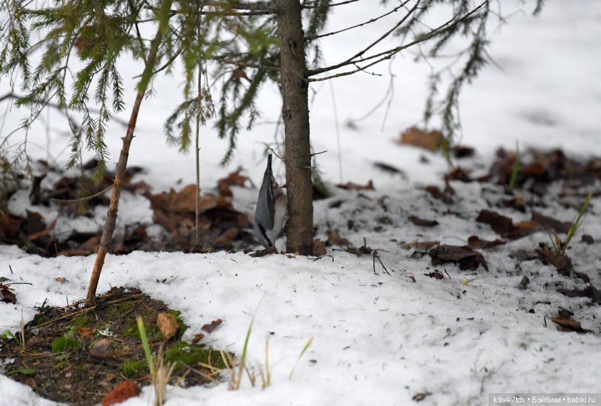 В последний день осени 2025 года (фото 5)