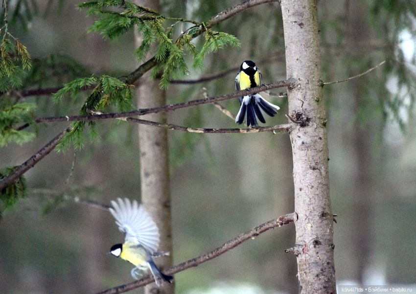 В последний день осени 2025 года