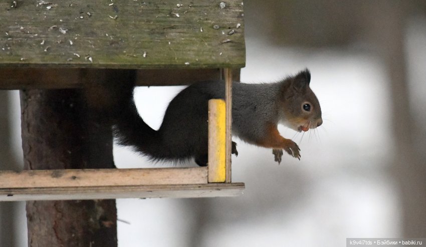 В последний день осени 2025 года