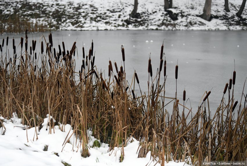 В последний день осени 2025 года