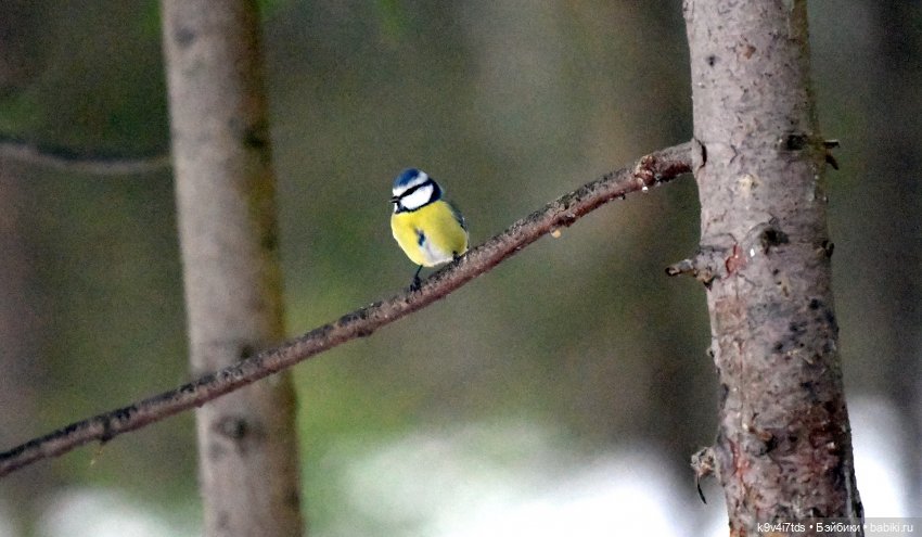 В последний день осени 2025 года (фото 6)