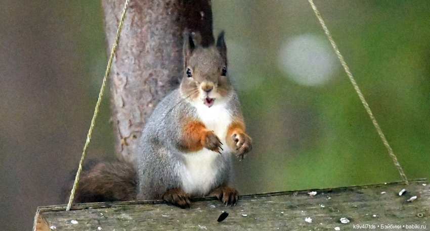 В последний день осени 2025 года (фото 9)