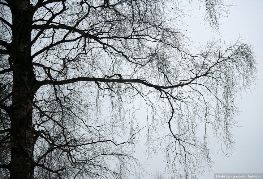 В последний день осени 2025 года