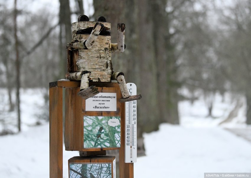 В последний день осени 2025 года