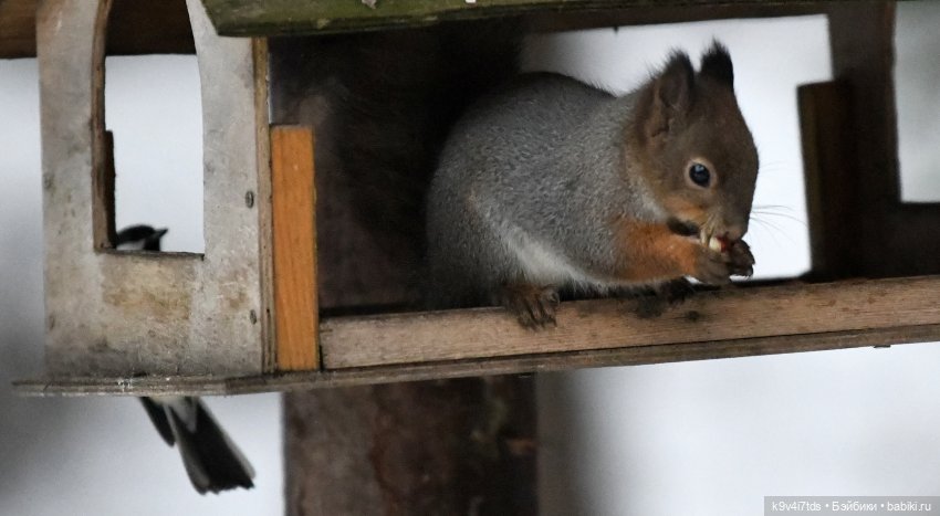 В последний день осени 2025 года