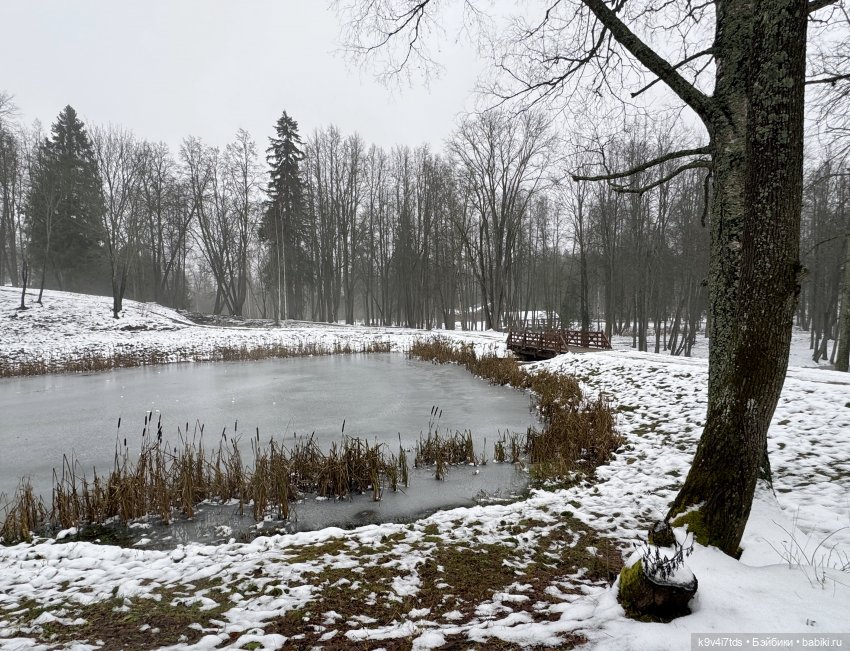 В последний день осени 2025 года
