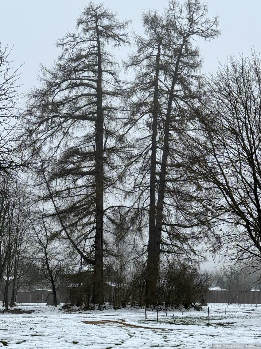 В последний день осени 2025 года