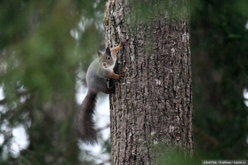 В последний день осени 2025 года (фото 7)
