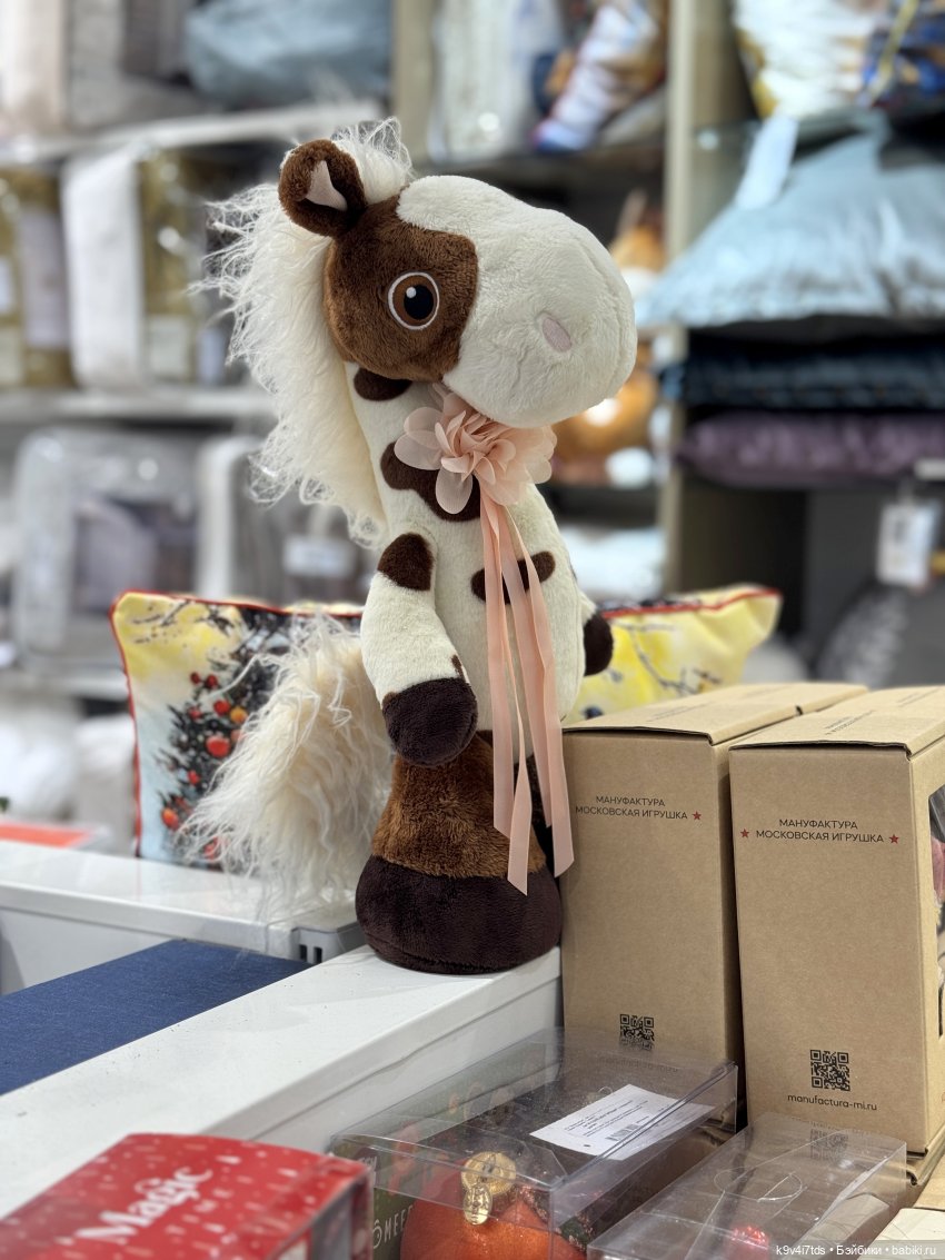 Путешествие в Москву, продолжение