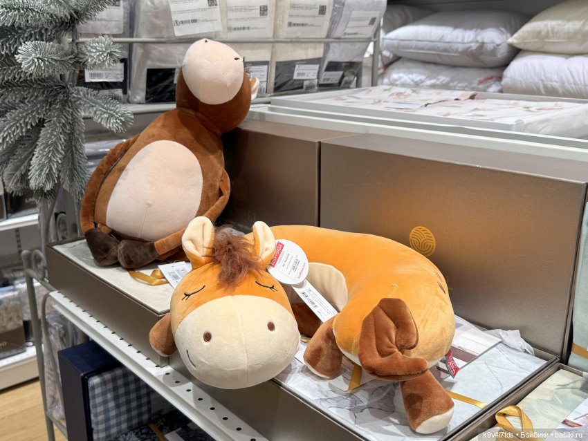 Путешествие в Москву, продолжение