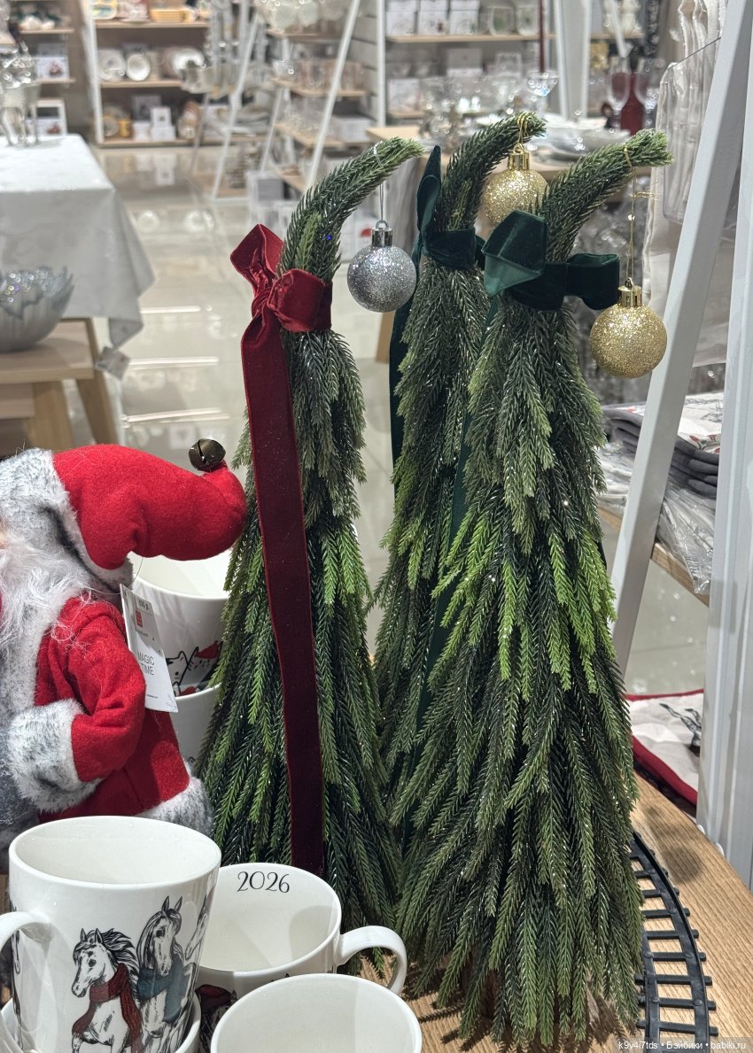 Путешествие Жу в Москву, заключительная часть