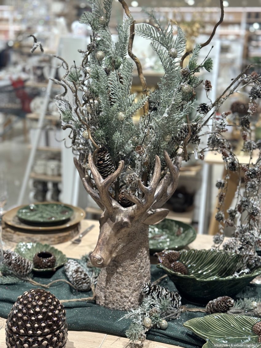 Путешествие Жу в Москву, заключительная часть