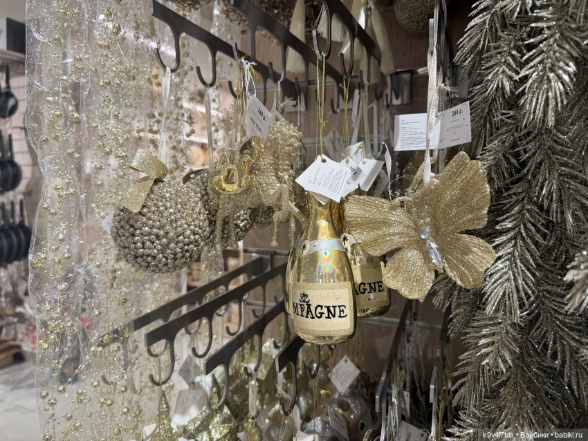 Путешествие Жу в Москву, заключительная часть