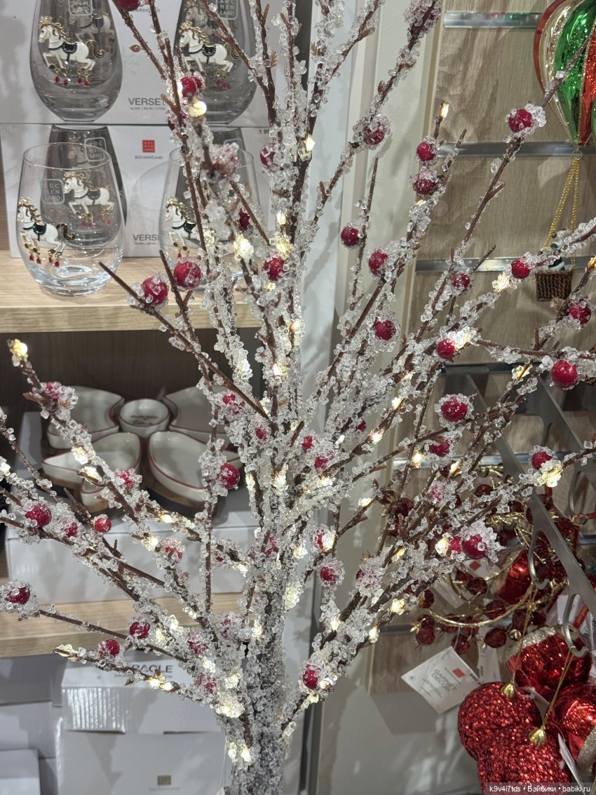 Путешествие Жу в Москву, заключительная часть