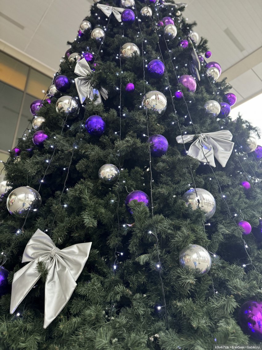 Путешествие Жу в Москву, заключительная часть