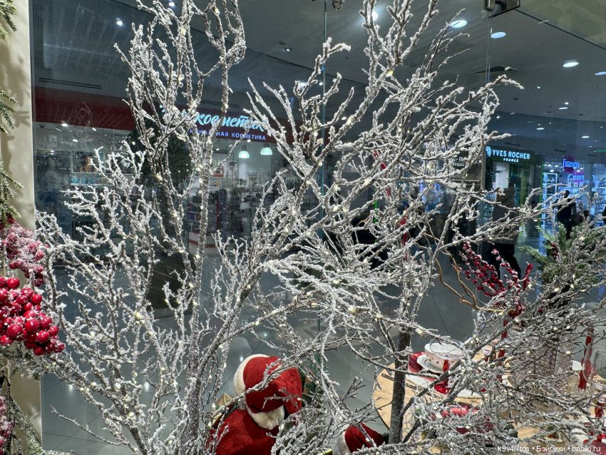 Путешествие Жу в Москву, заключительная часть