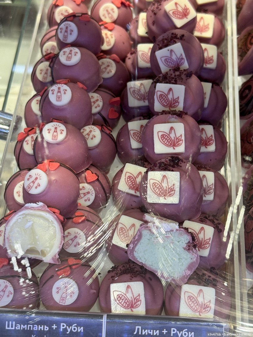 Путешествие Жу в Москву, заключительная часть