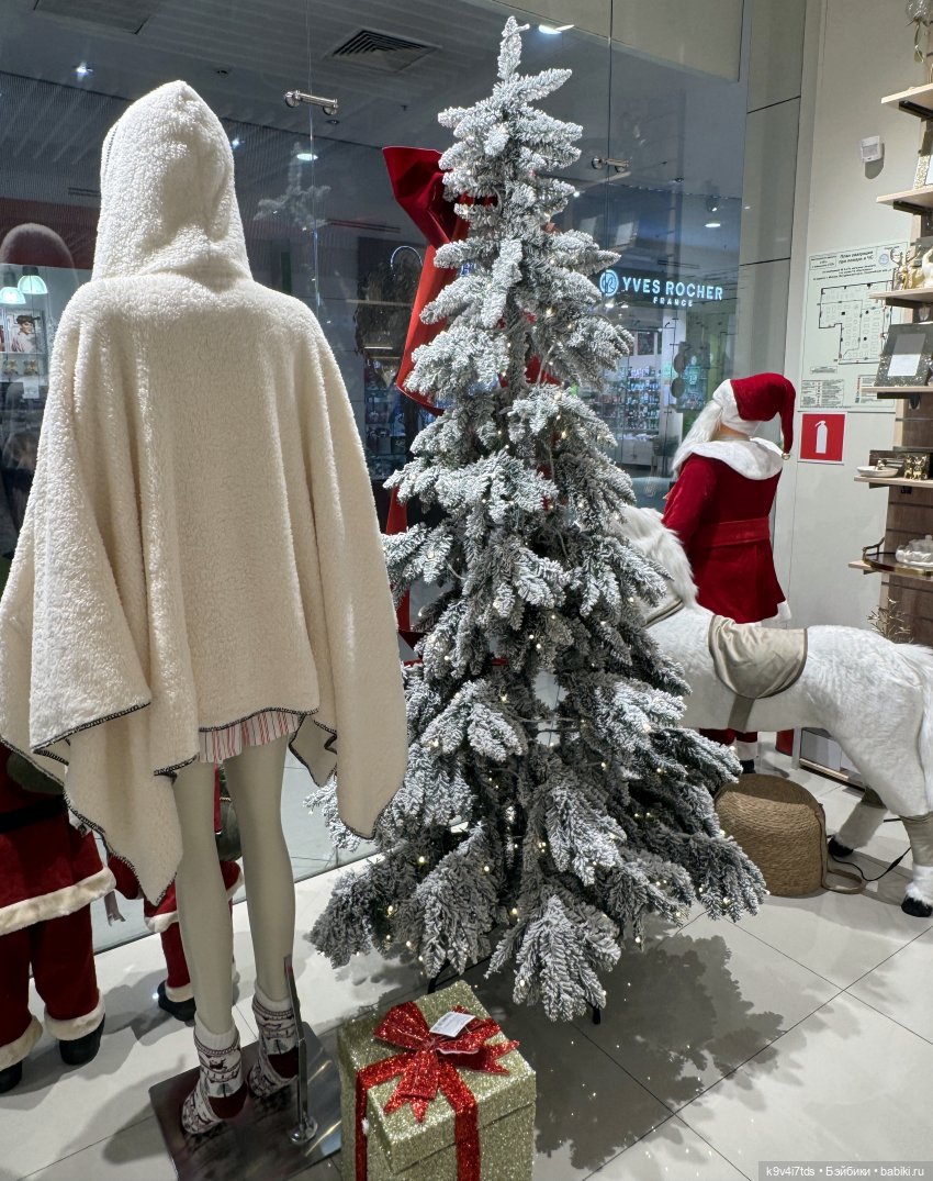 Путешествие Жу в Москву, заключительная часть