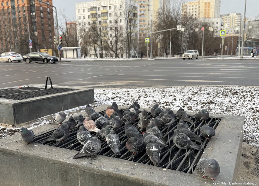 Московские морозы — Авторские куклы BJD (БЖД) у нас дома: фото (фото 9)