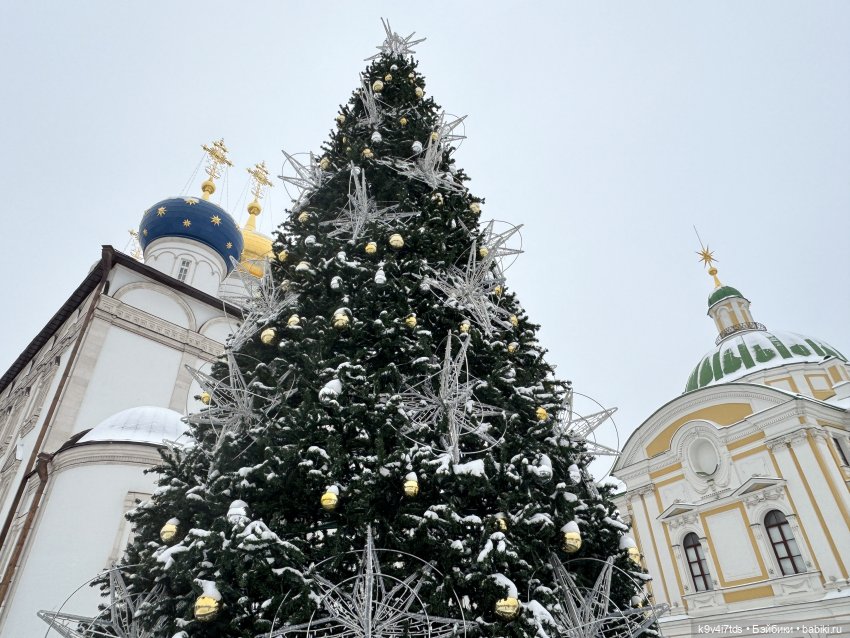 Первая прогулка Лоло — Авторские куклы BJD (БЖД) у нас дома: фото (фото 4)