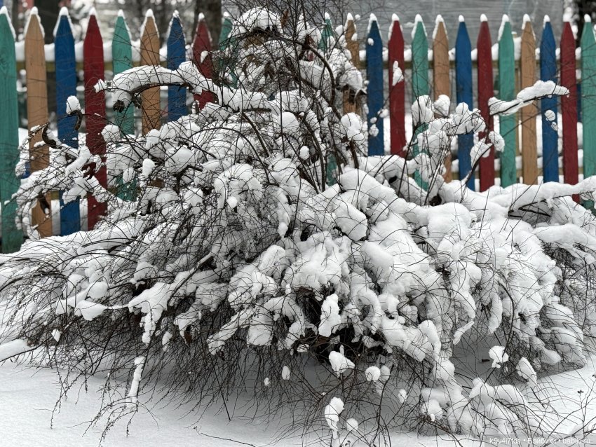 Первая прогулка Лоло — Авторские куклы BJD (БЖД) у нас дома: фото (фото 2)