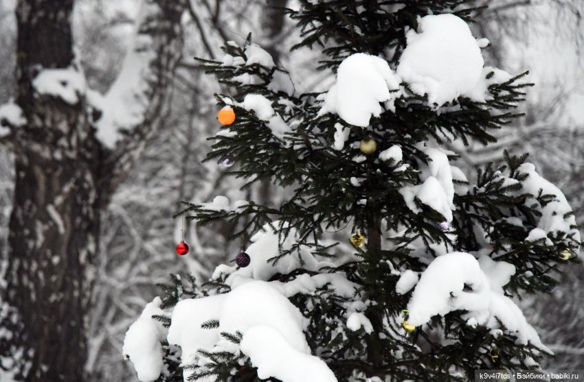 Рождественское путешествие Лоло в прекрасное "Василёво"