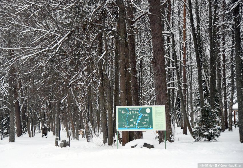 Рождественское путешествие Лоло в прекрасное "Василёво" (фото 3)