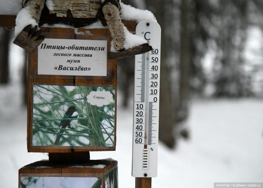 Рождественское путешествие Лоло в прекрасное "Василёво" (фото 9)