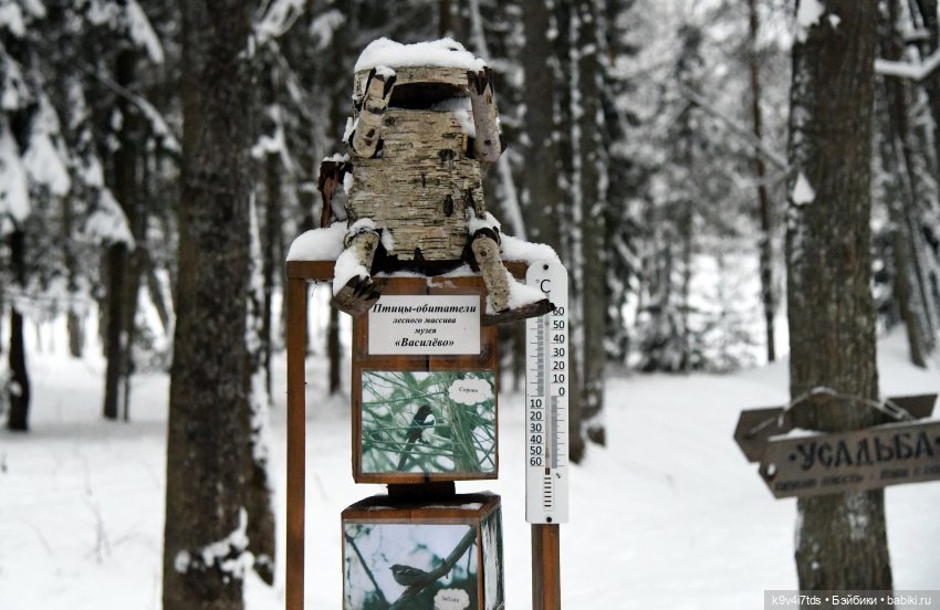 Рождественское путешествие Лоло в прекрасное "Василёво" (фото 10)