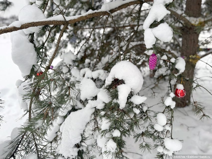 Лоло и новогодняя сосенка