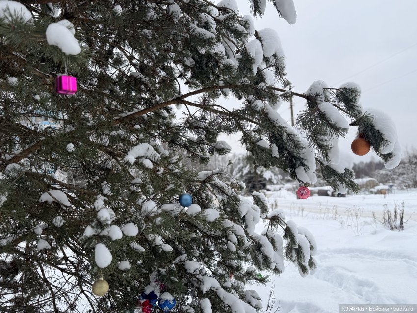 Лоло и новогодняя сосенка (фото 3)