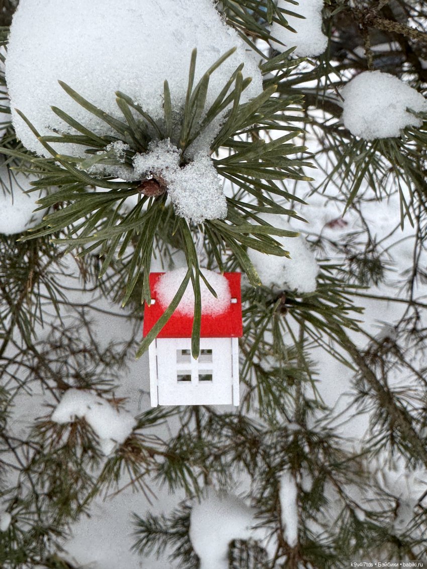 Лоло и новогодняя сосенка