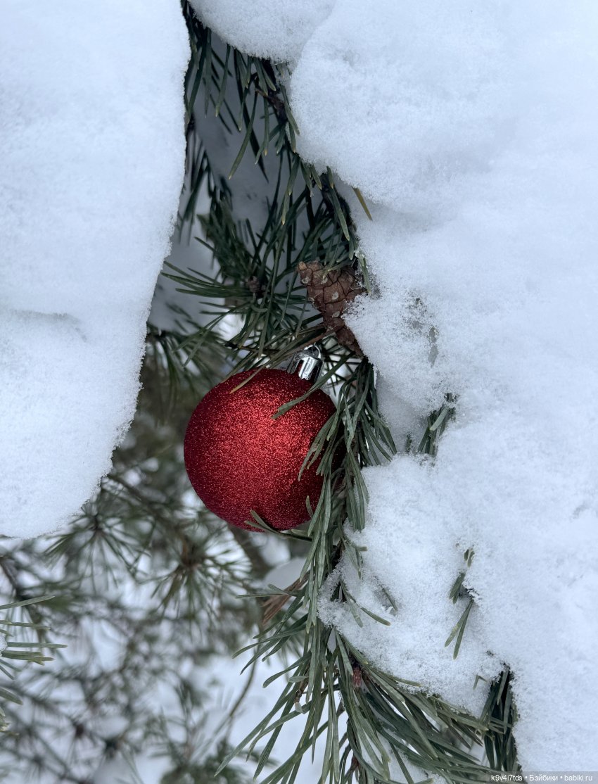 Лоло и новогодняя сосенка