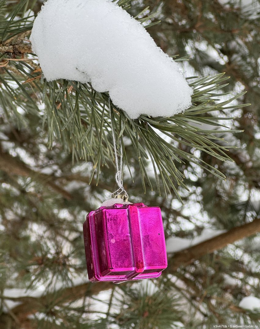 Лоло и новогодняя сосенка