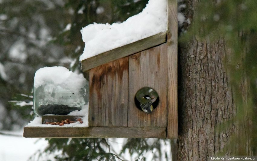 Рождественское путешествие Лоло в прекрасное "Василёво" (фото 7)