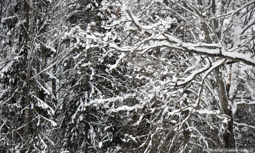 Рождественское путешествие Лоло в прекрасное "Василёво"