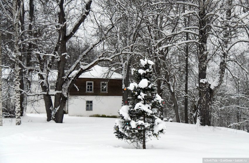 Рождественское путешествие Лоло в прекрасное "Василёво"