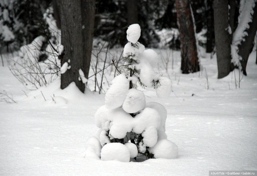 Рождественское путешествие Лоло в прекрасное "Василёво" (фото 4)