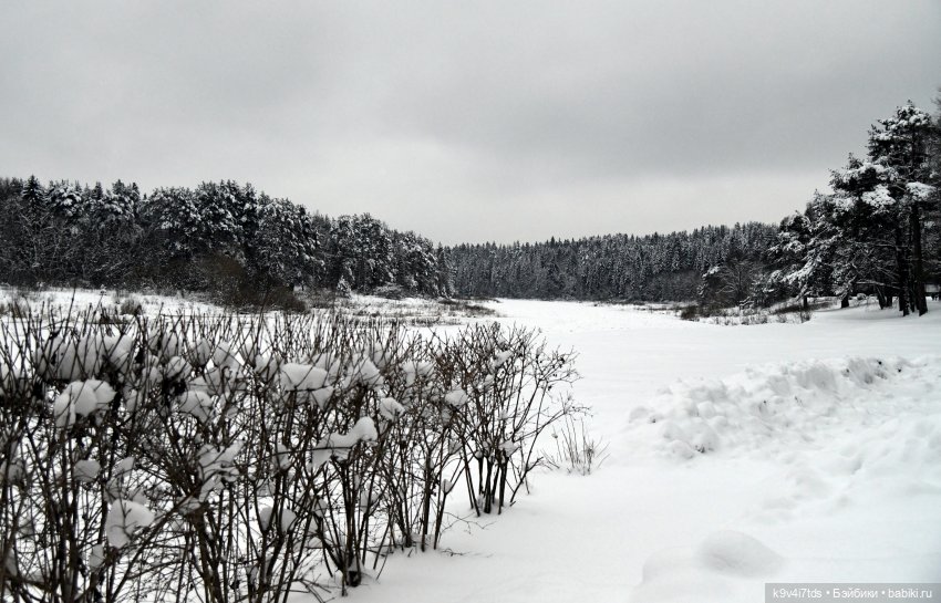 Рождественское путешествие Лоло в прекрасное "Василёво" (фото 2)
