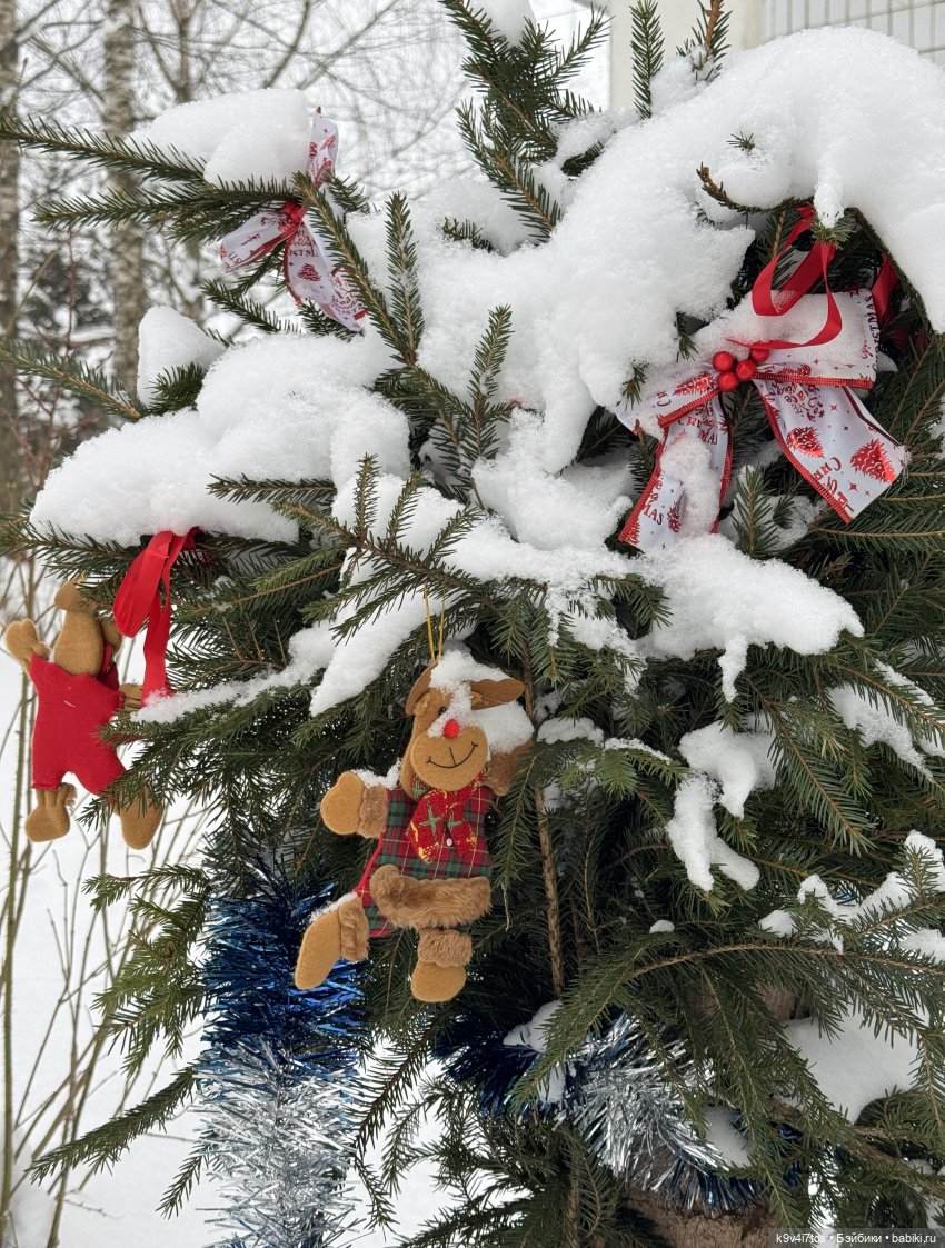 Лоло и новогодняя сосенка