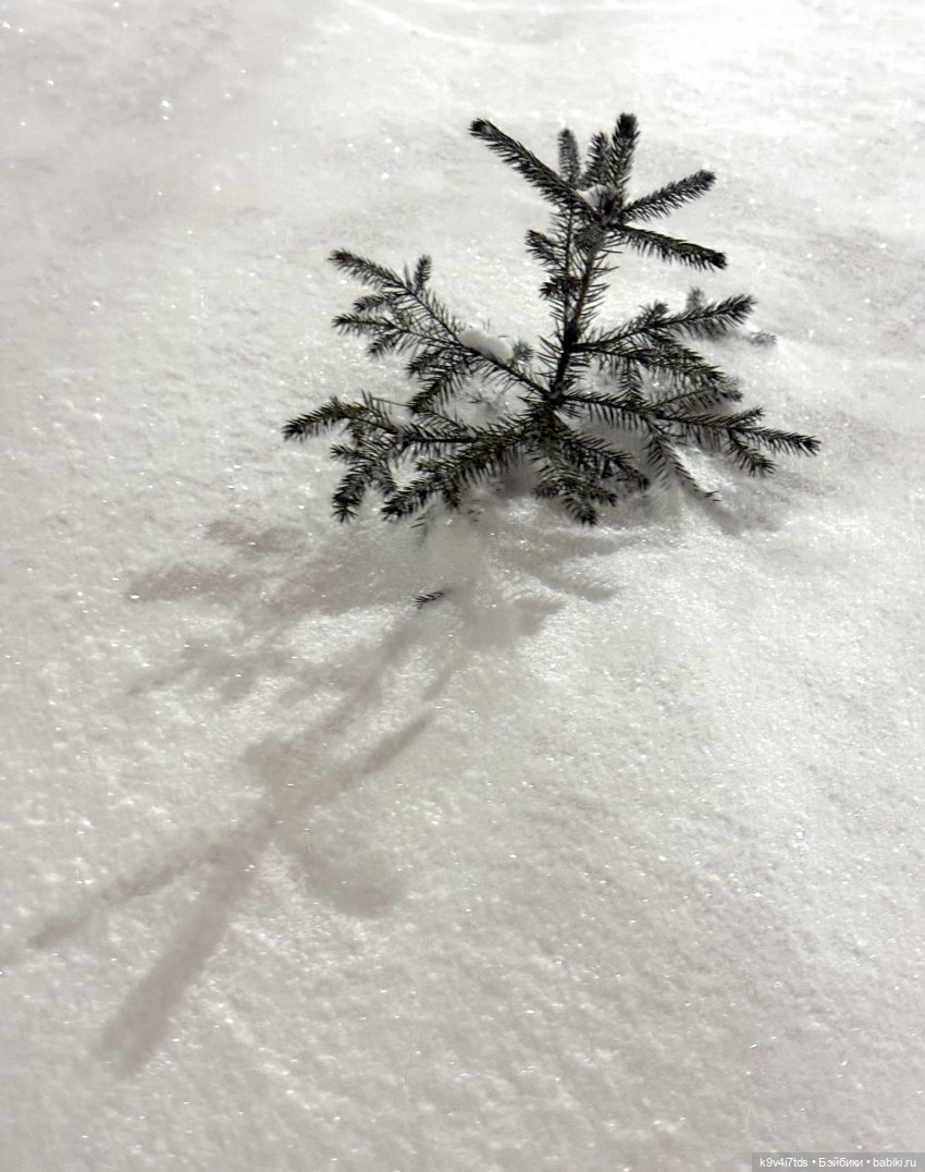 Девичьи посиделки — Авторские куклы BJD (БЖД) у нас дома: фото