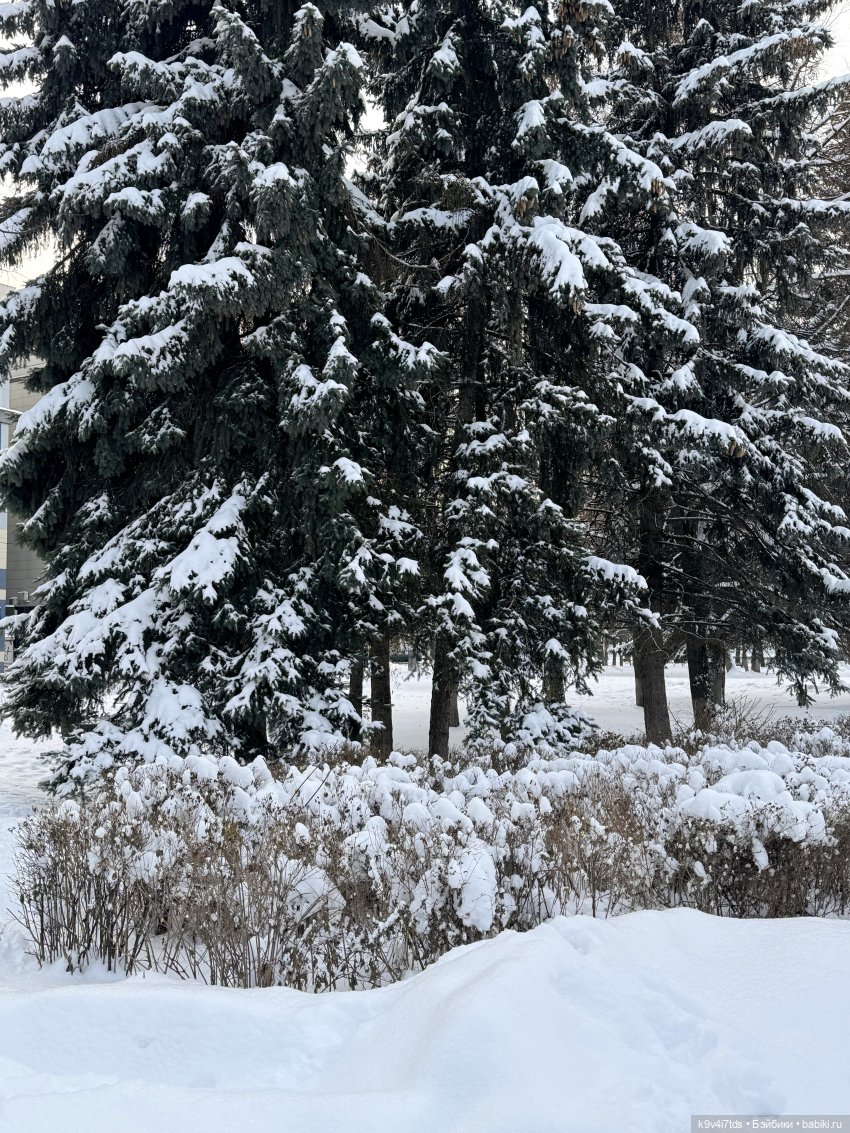 Ликки в Твери — Куклы Takara Tomy (Такара): Licca (Ликка)