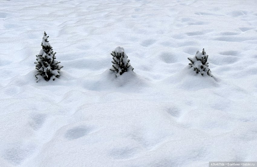 Ликки в Твери — Куклы Takara Tomy (Такара): Licca (Ликка)