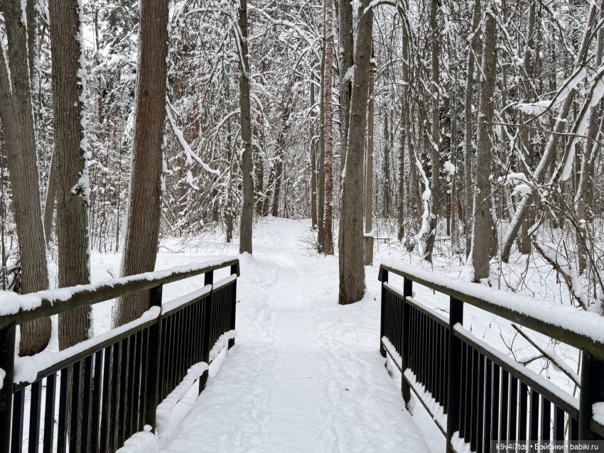 Рождественский Ангел — Куклы Sylvia Natterer (Сильвия Наттерер): Gotz