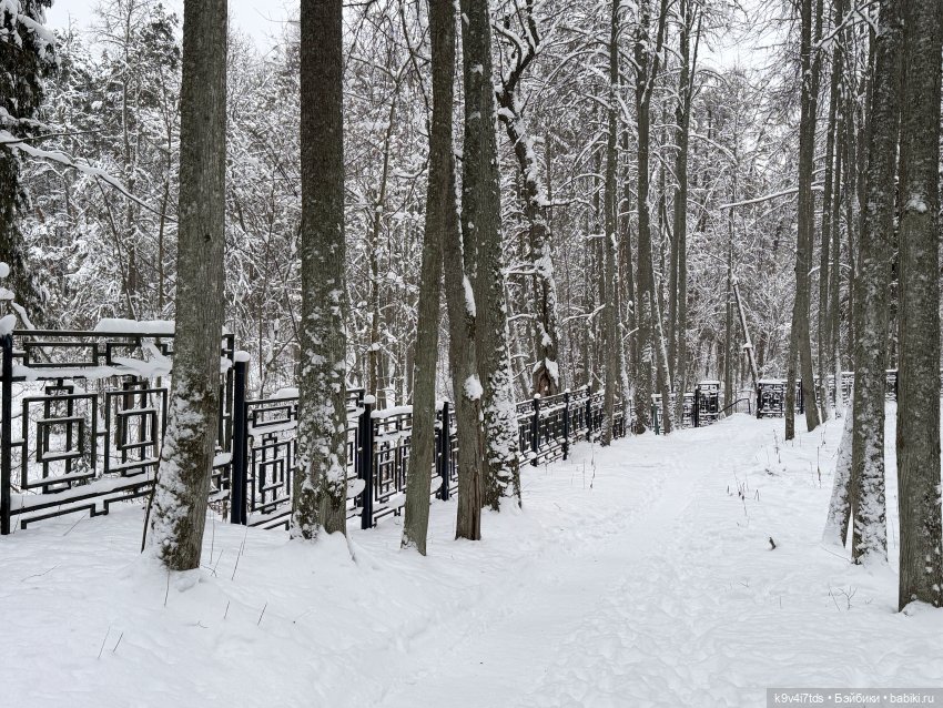 Рождественский Ангел — Куклы Sylvia Natterer (Сильвия Наттерер): Gotz (фото 7)