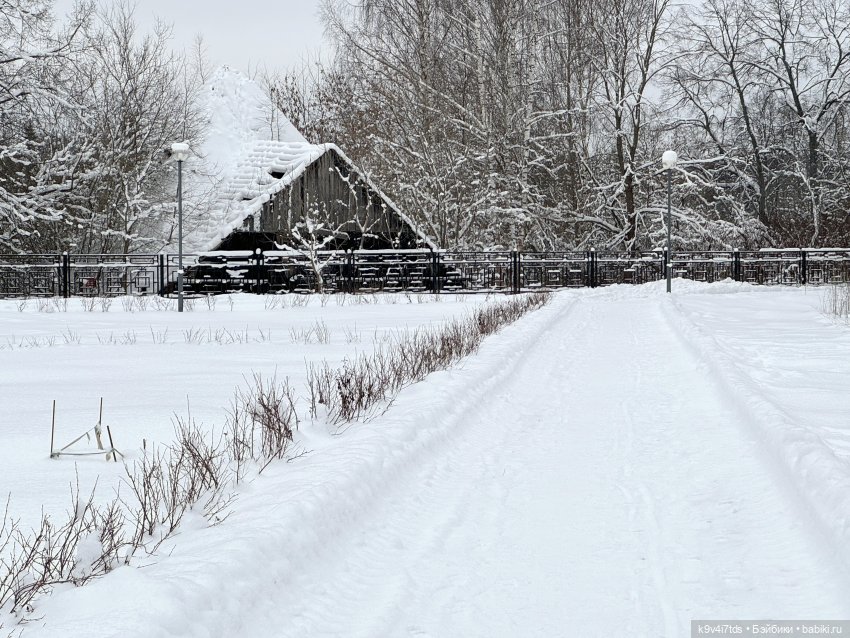 Рождественский Ангел — Куклы Sylvia Natterer (Сильвия Наттерер): Gotz